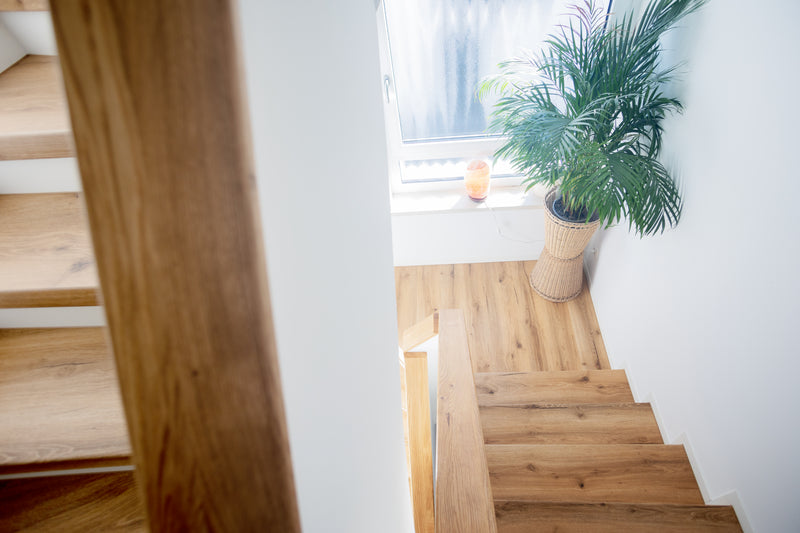 Galeriebild